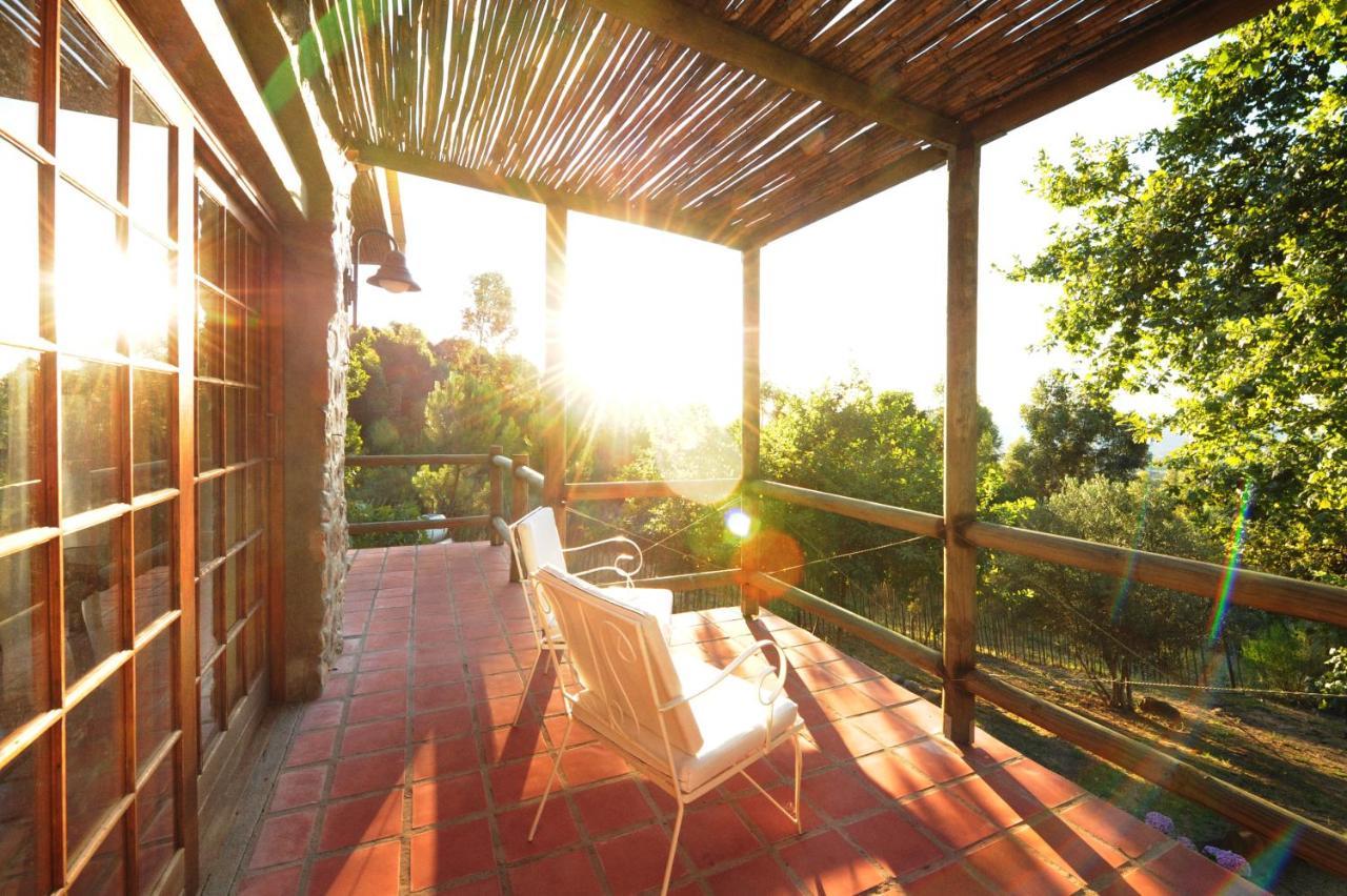Amberg Country Estate Guest House Парл Екстериор снимка